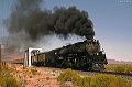 train007